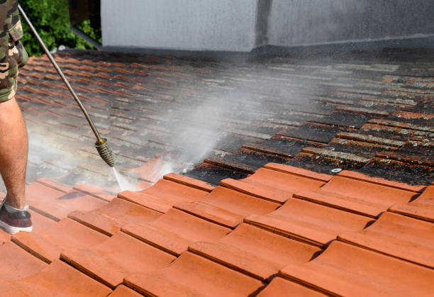 Best Best Pressure Washing Companies  in Kemp, TX