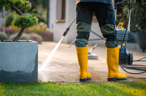 Best Deck Cleaning Services  in Kemp, TX
